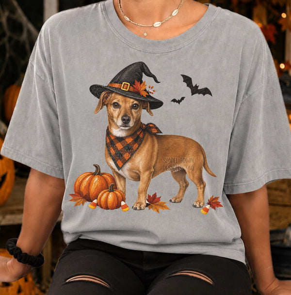 Halloween Dachshund Witch Graphic T-Shirt graphic mockup